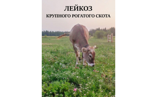 Профилактика лейкоза крупного рогатого скота